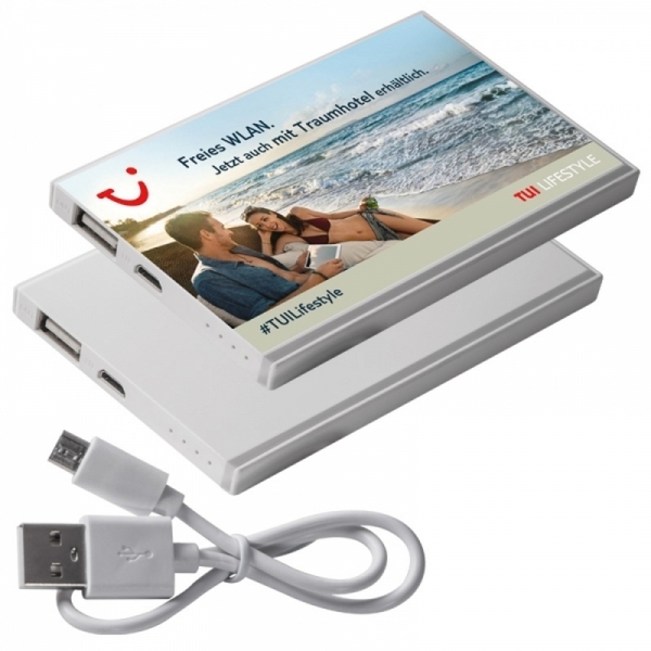 Power bank 2200 mAh PINEVILLE img