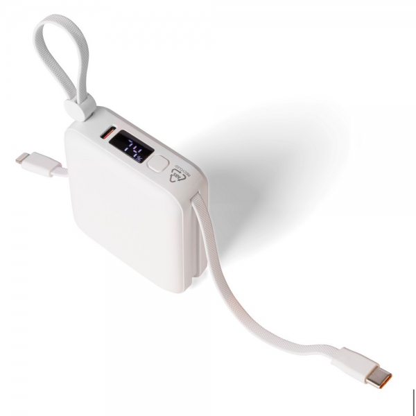 Power bank 10000 mAh img